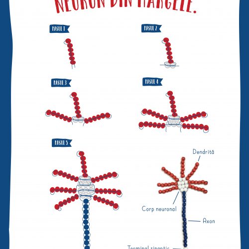 Poster: Cum sa confectionezi un neuron din margele